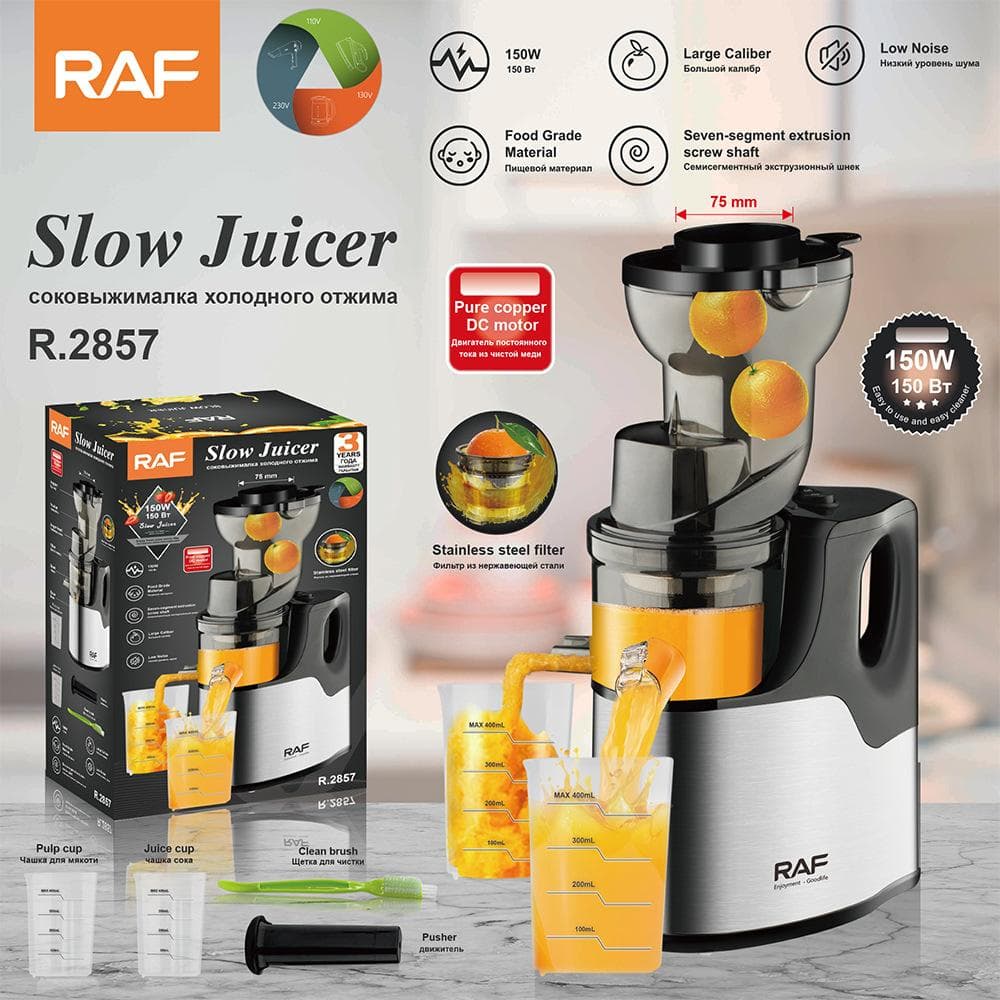 Slow Juicer (Large)